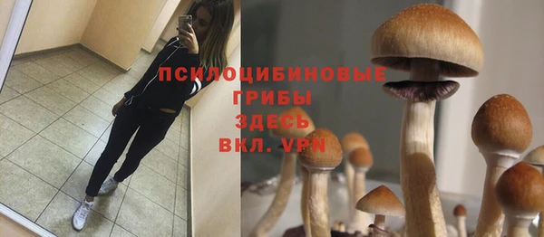 синтетический гашиш Балахна
